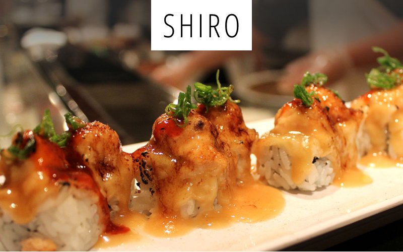 shiro restaurant website